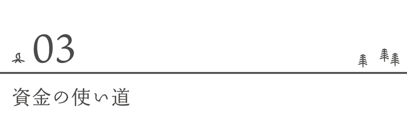資金の使い道