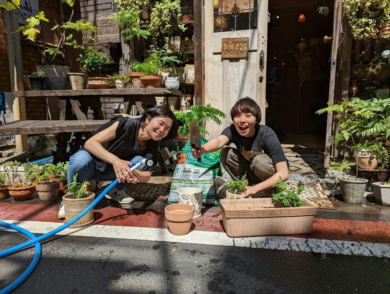 カラーリーフやミントなどなど