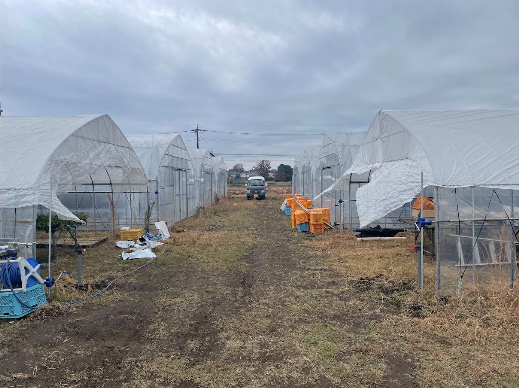 第2補助ファーム