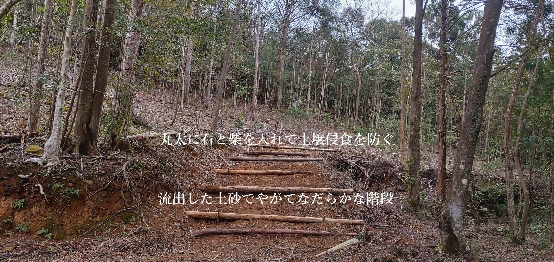 続 開拓地裏山の土壌浸食を防げ！ - CAMPFIRE (キャンプファイヤー)