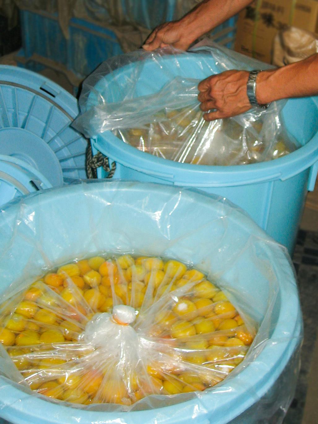 梅酢と酵素は最高の相性だった 梅酢ドリンク くろ梅ちゃん Campfire キャンプファイヤー 梅酢と酵素は最高の相性だった 梅酢ドリンク くろ梅ちゃん Campfire キャンプファイヤー