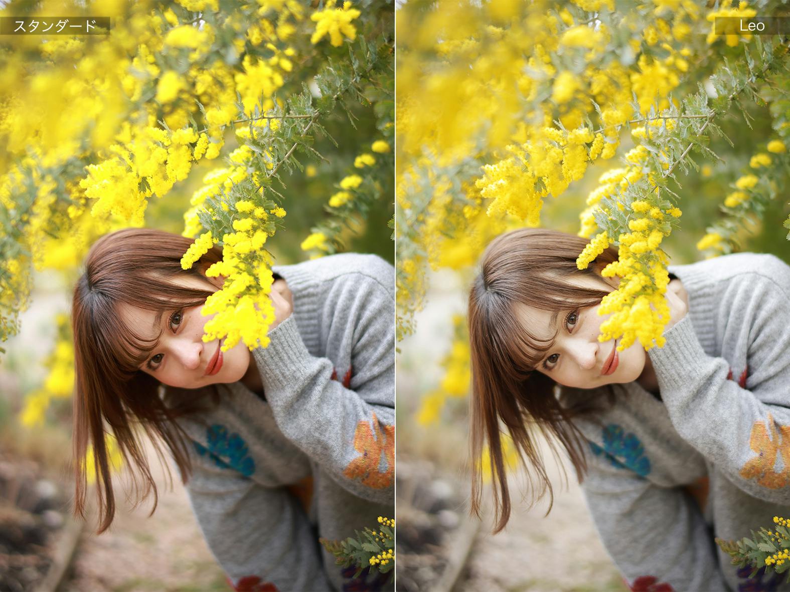 もっとCanonが好きになる”専用ピクチャースタイル「Shion