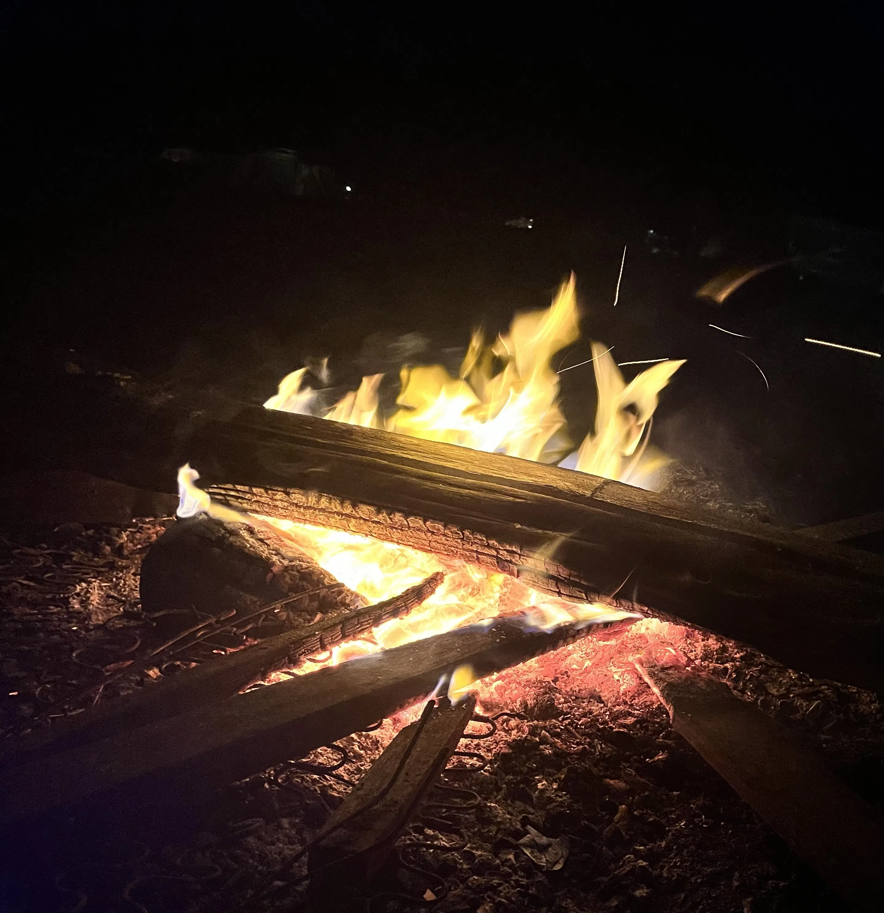 焚き火
