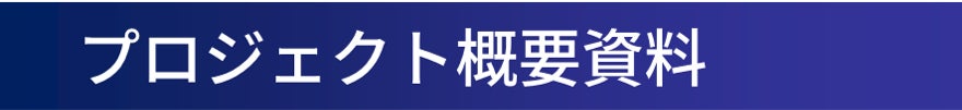 プロジェクト概要資料