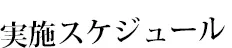 実施スケジュール