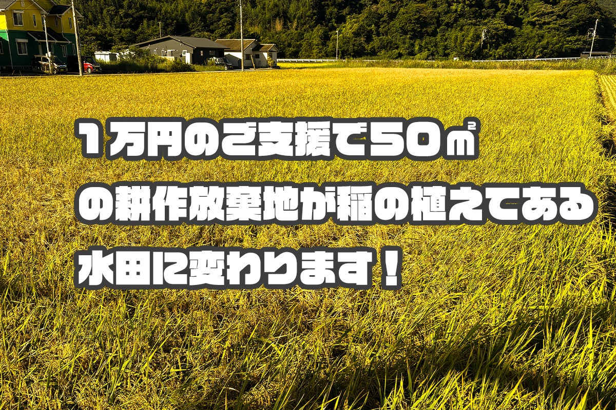 年々増える耕作放棄地を再生して本当に美味しいお米を安く全国に 