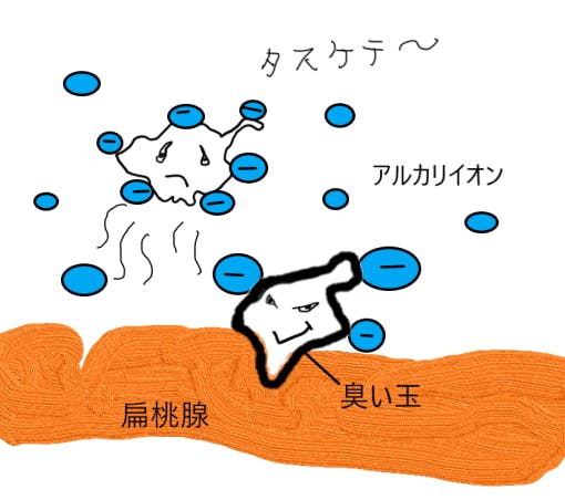 口臭を防ぐ ホタテ貝殻から作ったアルカリイオン水の歯磨き剤 Campfire キャンプファイヤー 口臭を防ぐ ホタテ貝殻から作ったアルカリイオン水の歯磨き剤 Campfire キャンプファイヤー