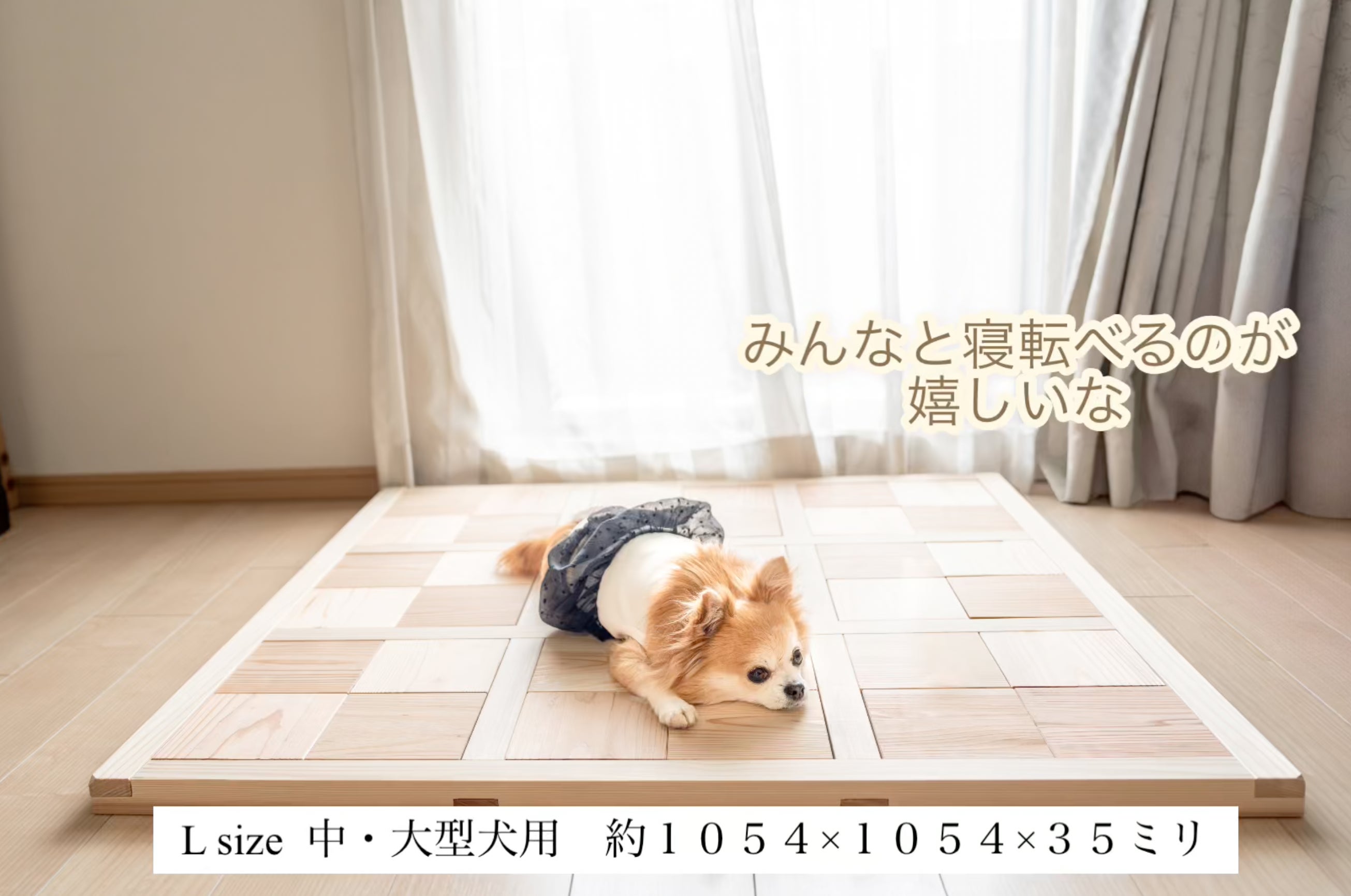 小さな命の呼吸を守る 無垢の床プロジェクト - CAMPFIRE (キャンプ