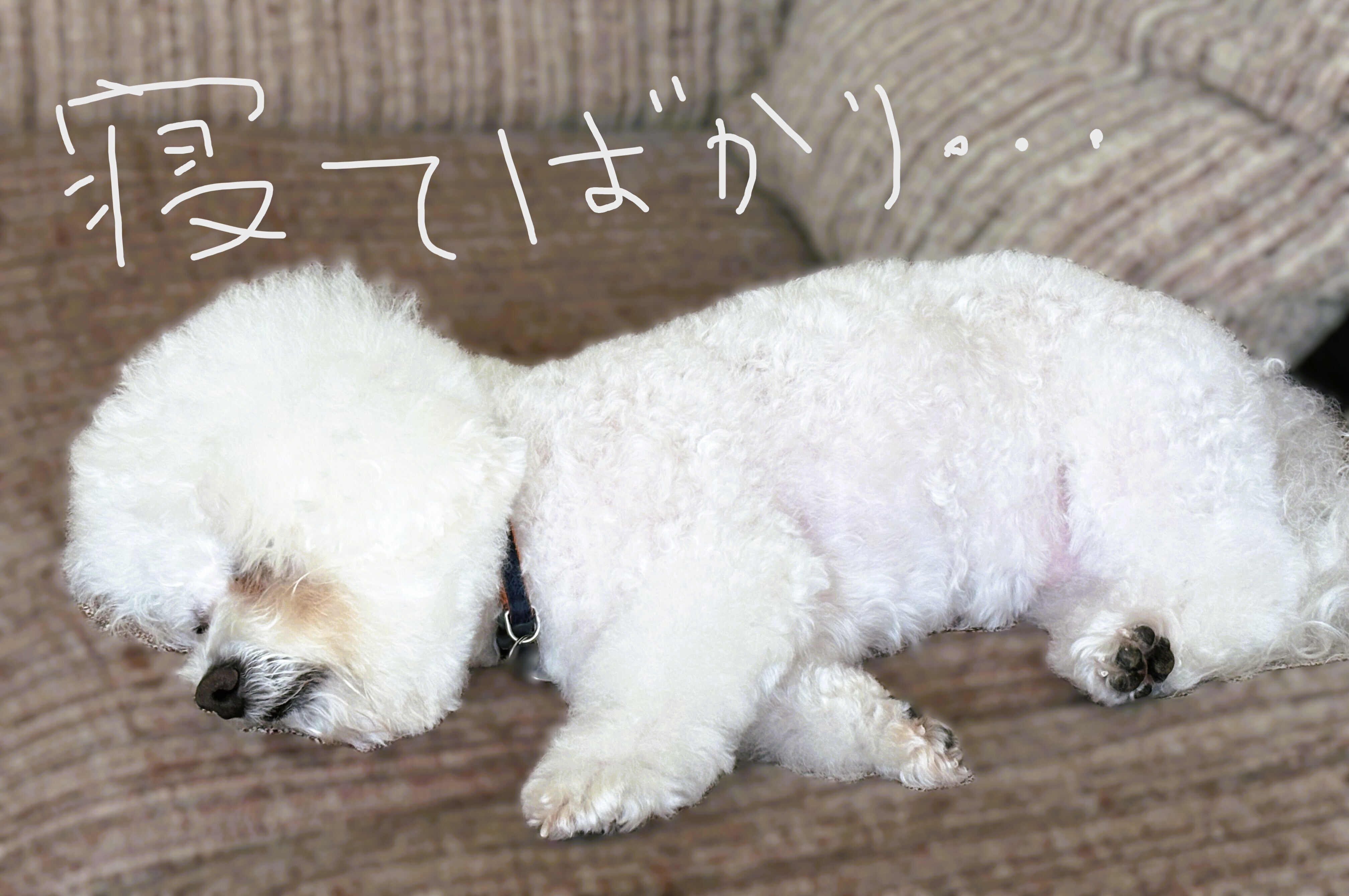 いつお疲れ・・・