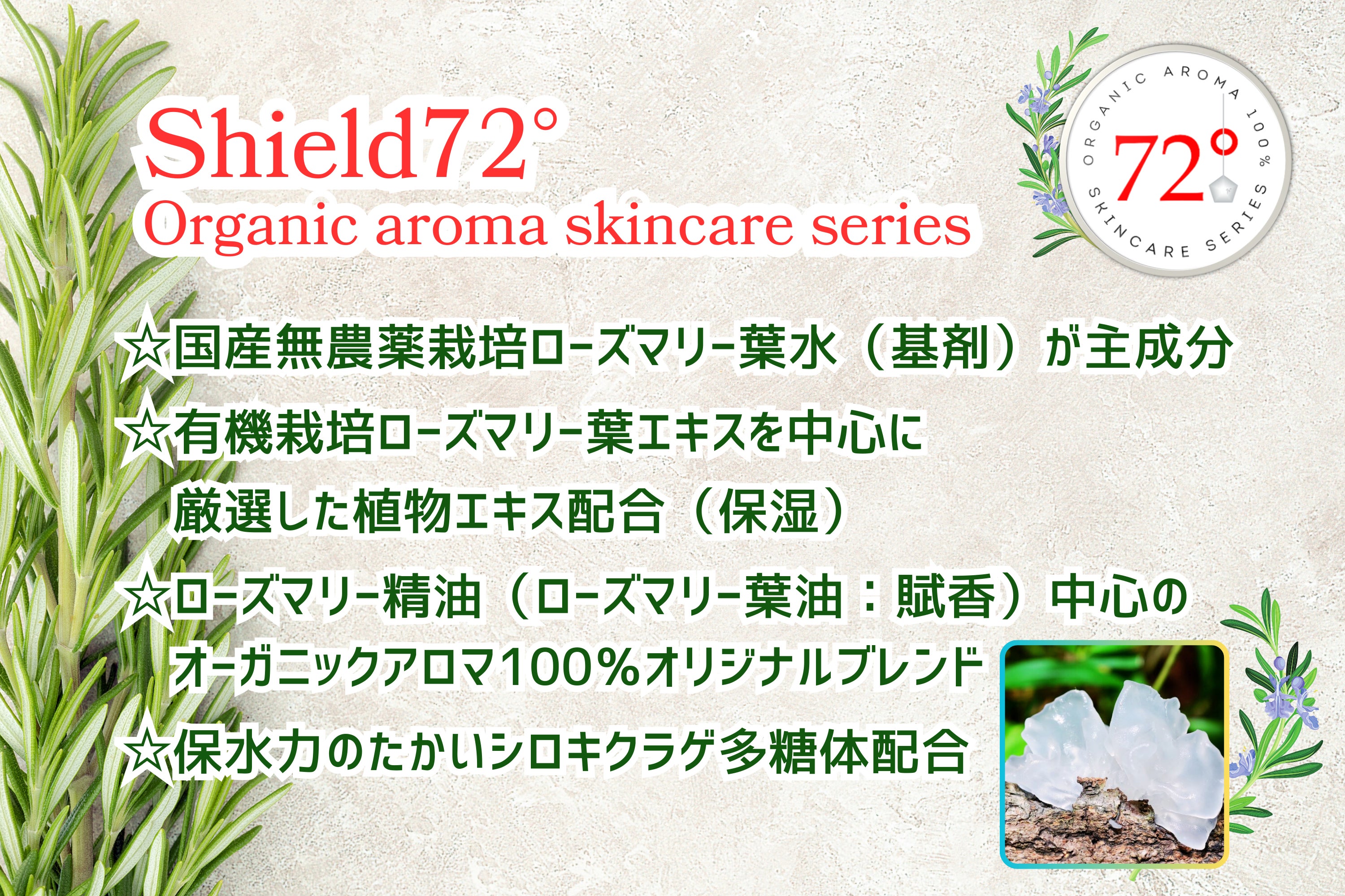自家栽培ローズマリー⭐︎ 農薬:栽培期間中不使用⭐︎ 自家栽培ローズマリー⭐︎ 農薬:栽培期間中不使用⭐︎