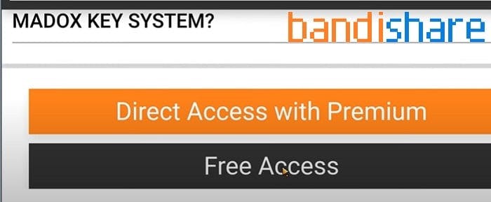 cach-lay-key-script-blox-fruit-4