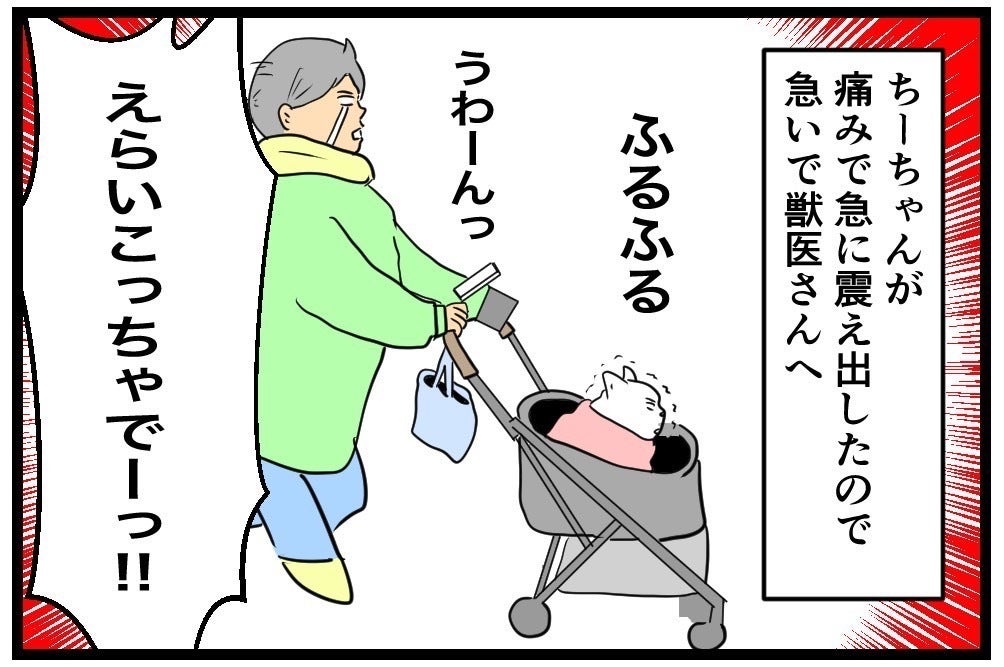 ちーちゃん様 | M-CARBO.RU