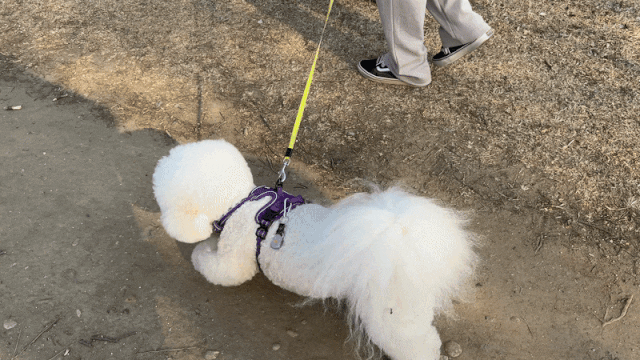 detail_32456_16792989093503.gif