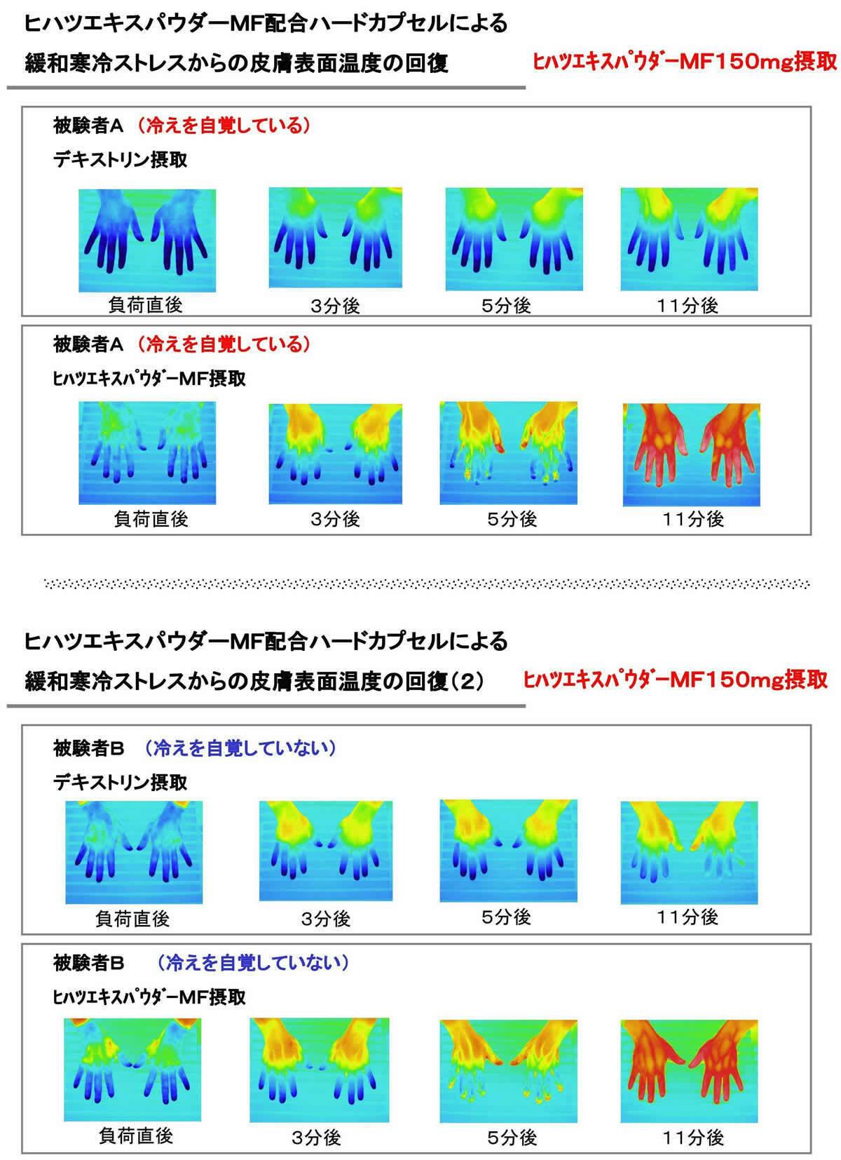 ヒハツエキスパウダー