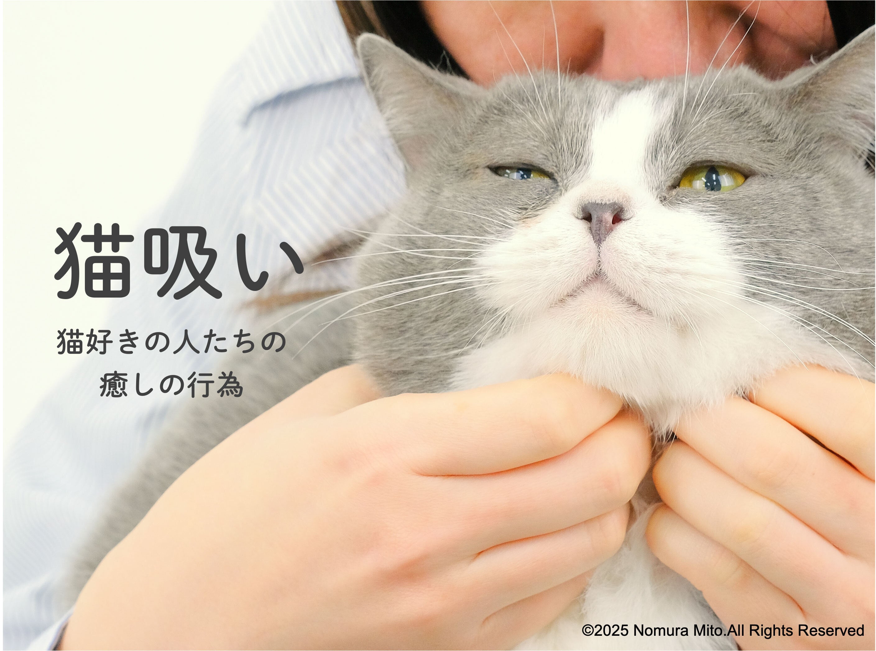 猫吸い体験してみにゃい？喫猫所（きつねこじょ）「にゃんPOD
