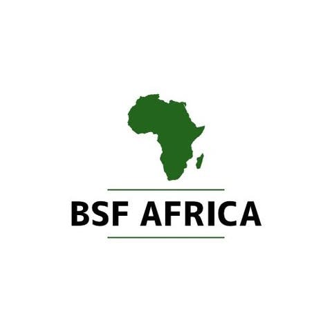 BSF AFRICA(合本株式会社)