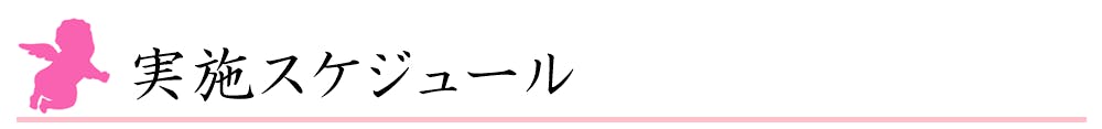 実施スケジュール