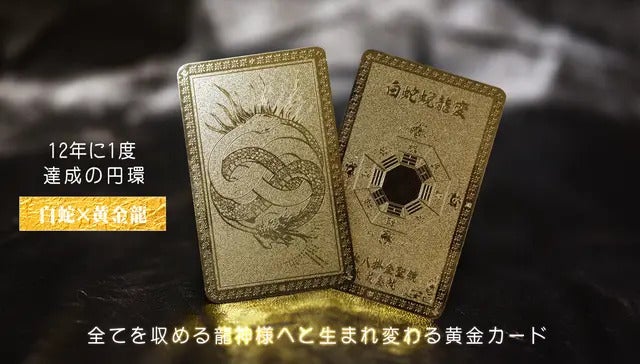最終販売】10人の有名風水師が“白蛇龍神を担いだ”2025年限定本気の開運