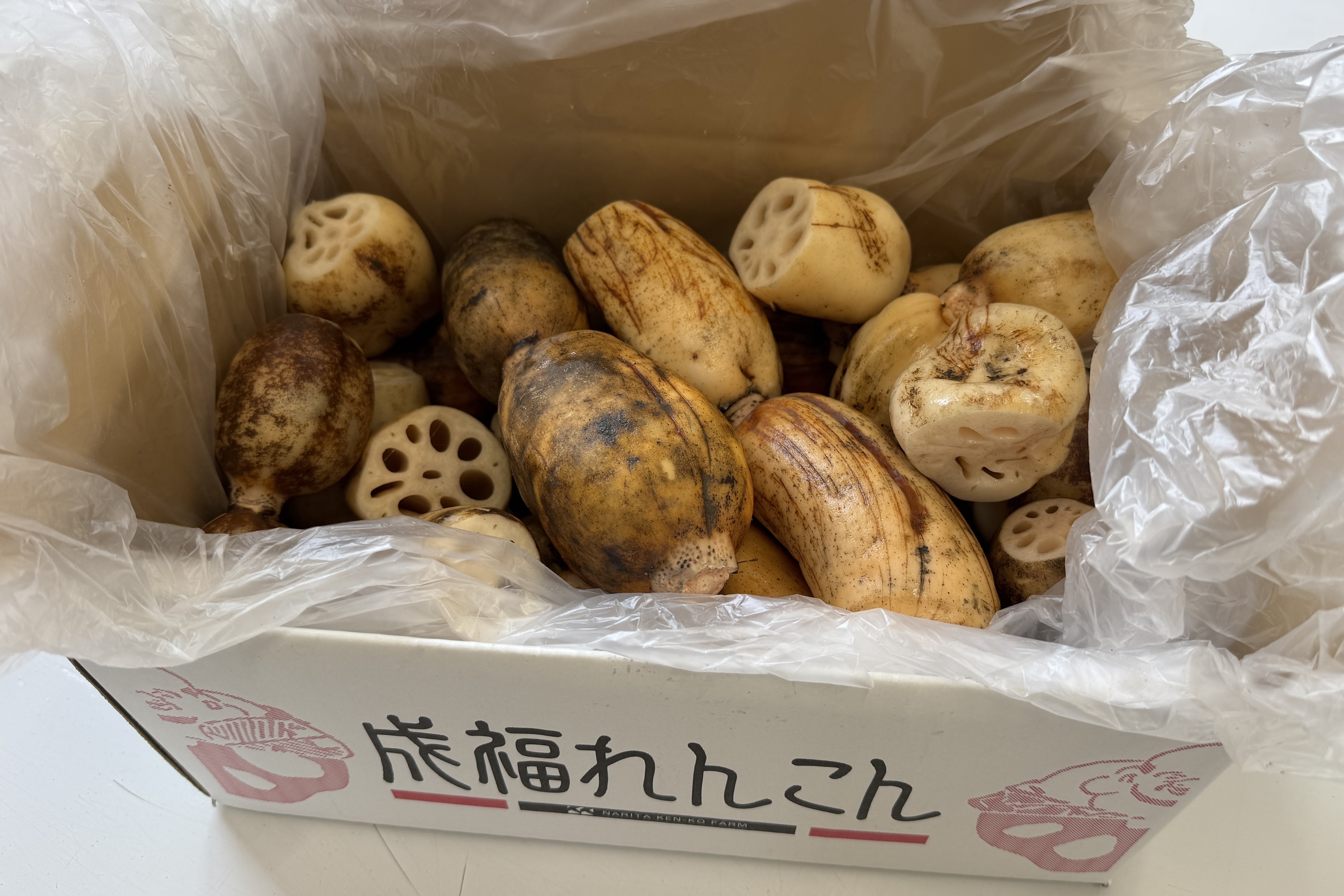 れんこん農家のお裾分け” 見た目じゃない。土が育てた、本当の味を届け