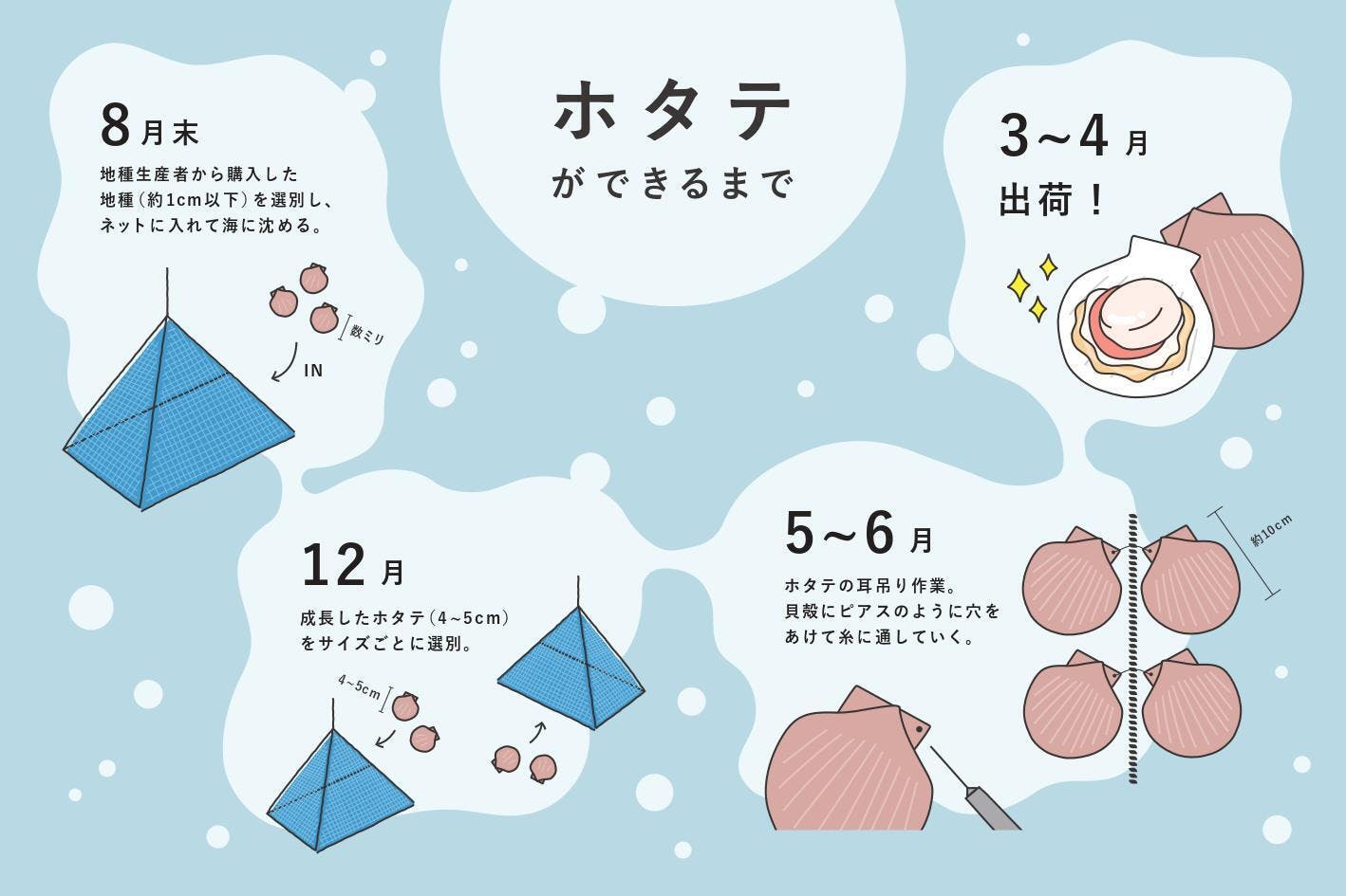 100 気仙沼唐桑産のホタテを作る ホタテ漁師を応援したい Campfire キャンプファイヤー