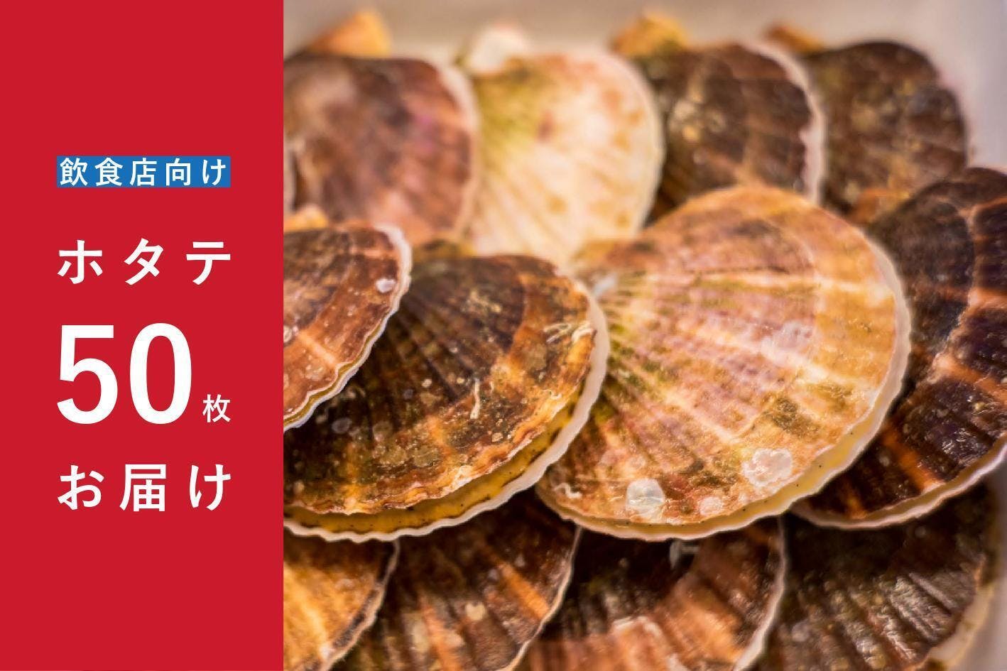 100 気仙沼唐桑産のホタテを作る ホタテ漁師を応援したい Campfire キャンプファイヤー