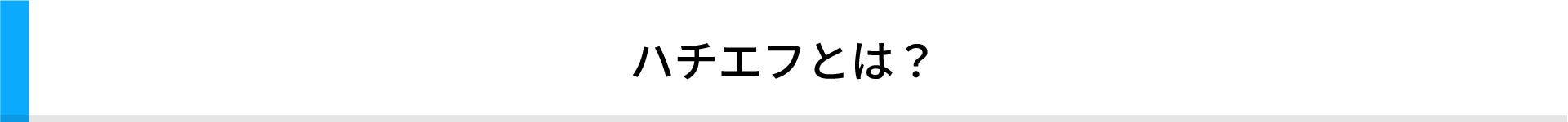 ハチエフとは？