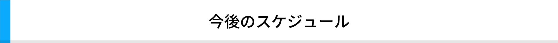 今後のスケジュール