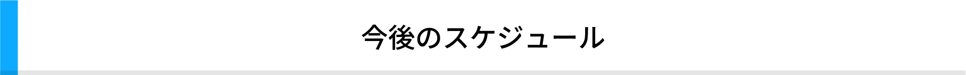 今後のスケジュール