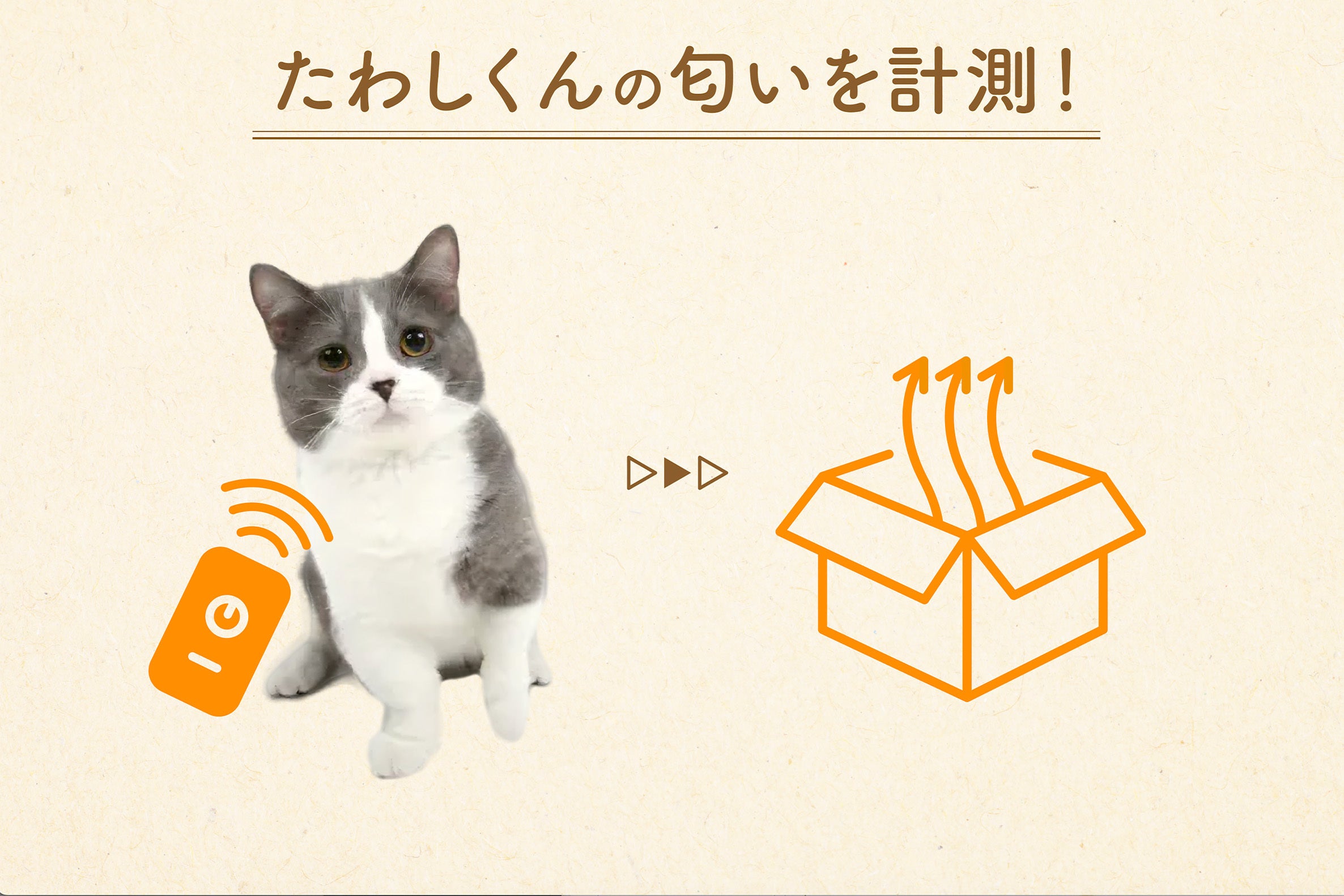 猫吸い体験してみにゃい？喫猫所（きつねこじょ）「にゃんPOD