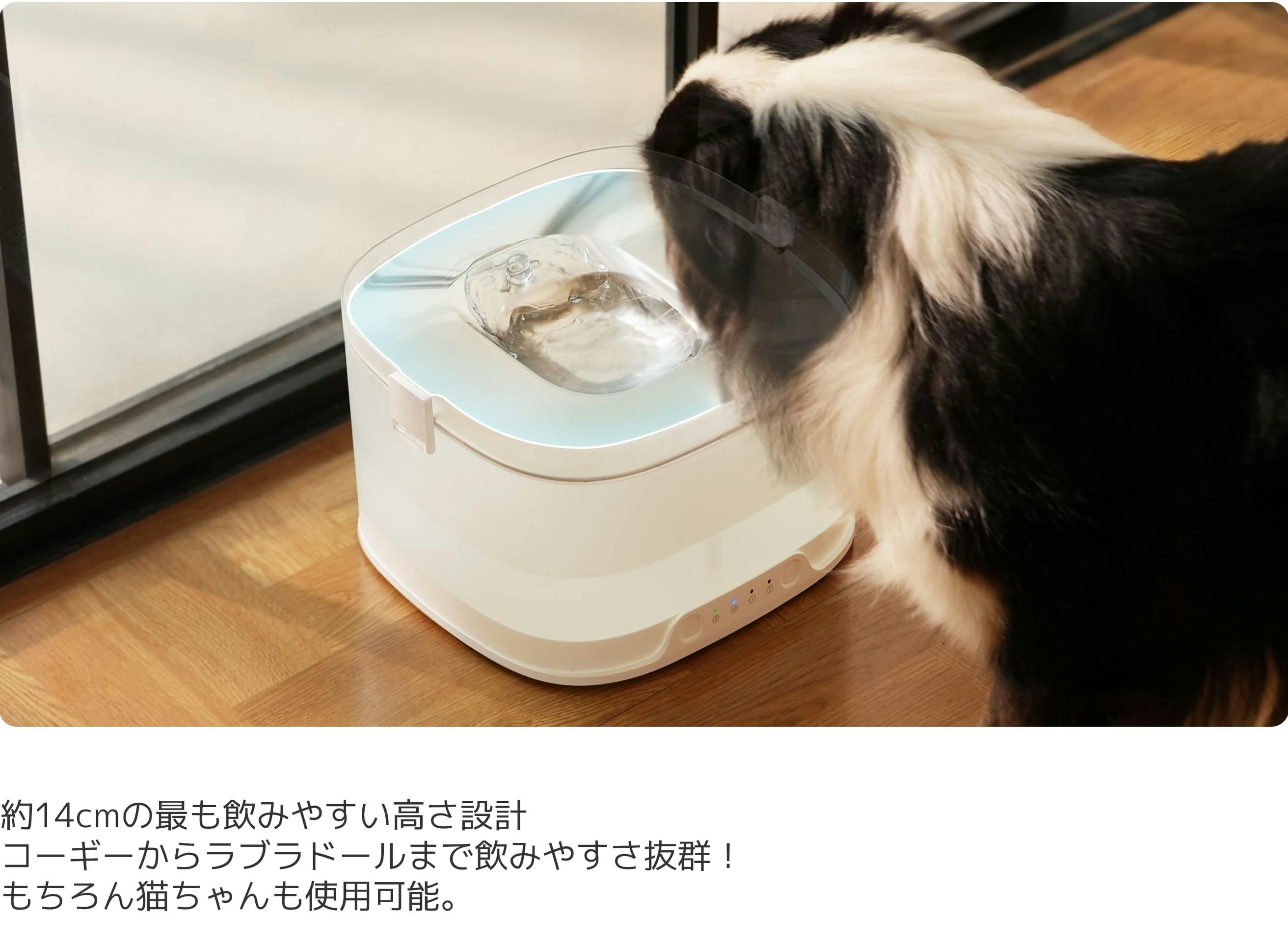 エルフィン給水器D1 Pro - 最初のひと口から一生の健康を守るために