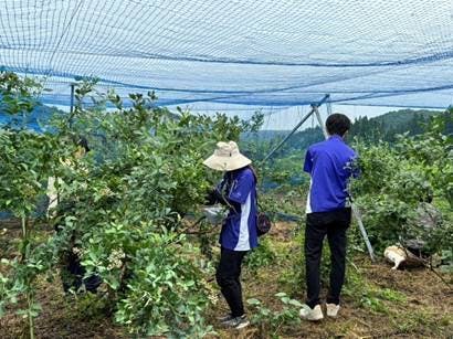 草, 屋外, 立つ, 男 が含まれている画像AI 生成コンテンツは誤りを含む可能性があります。