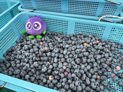 テーブル, 座る, 食品, トラック が含まれている画像AI 生成コンテンツは誤りを含む可能性があります。