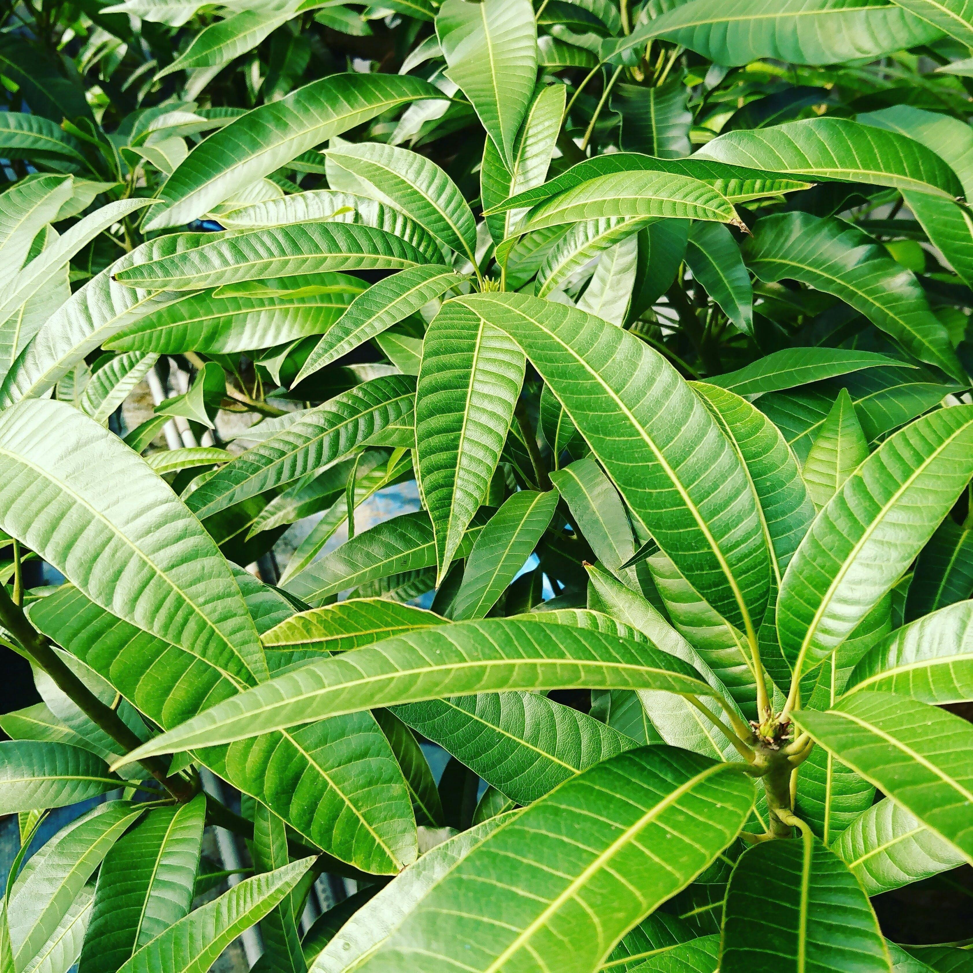 堀江貴文イノベーション大学校 外部向け説明会in宮崎 長崎 Campfire キャンプファイヤー