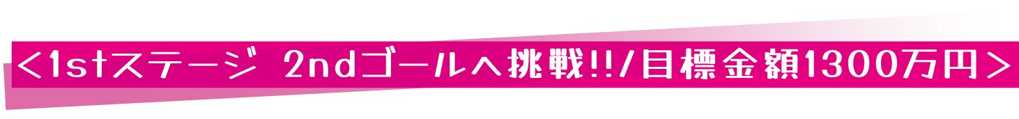 ＜1stステージ 2ndゴールへ挑戦!!/目標金額1300万円＞