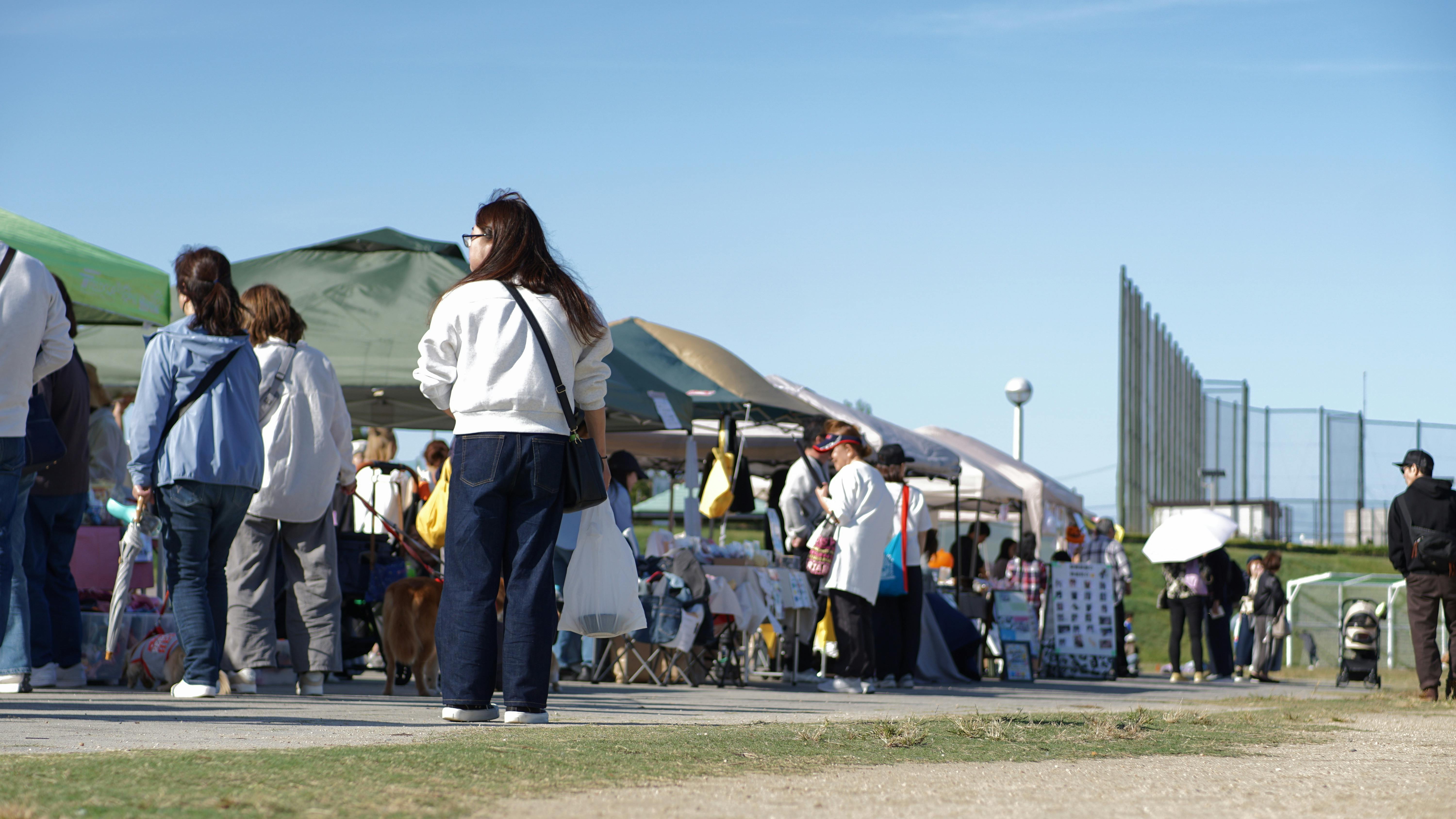 ユメカナエフェス　動物ブースの様子