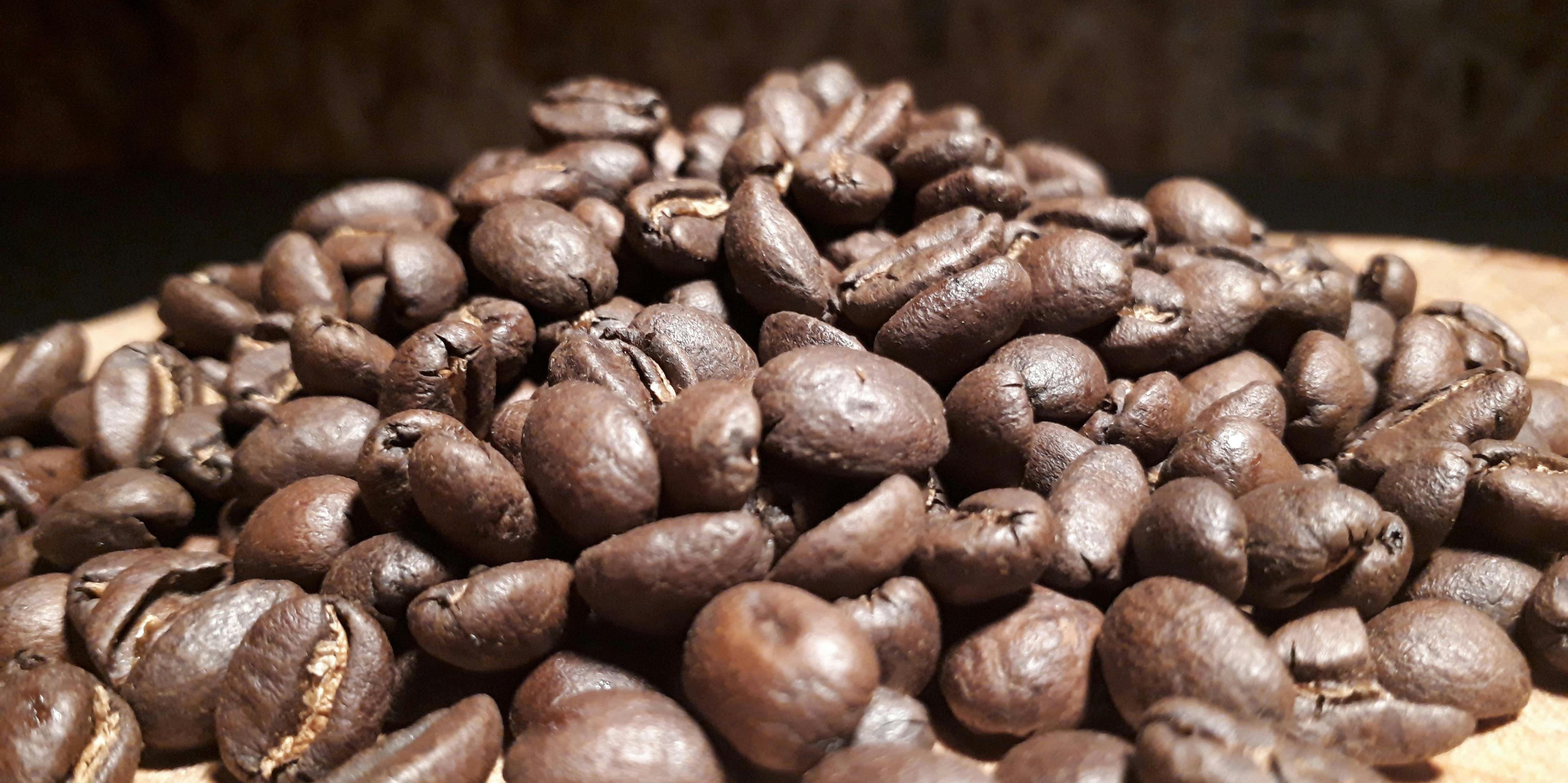 まだ誰も飲んだことが無いエチオピアコーヒーを日本へ輸入したい Campfire キャンプファイヤー まだ誰も飲んだことが無いエチオピアコーヒーを日本へ輸入したい Campfire キャンプファイヤー