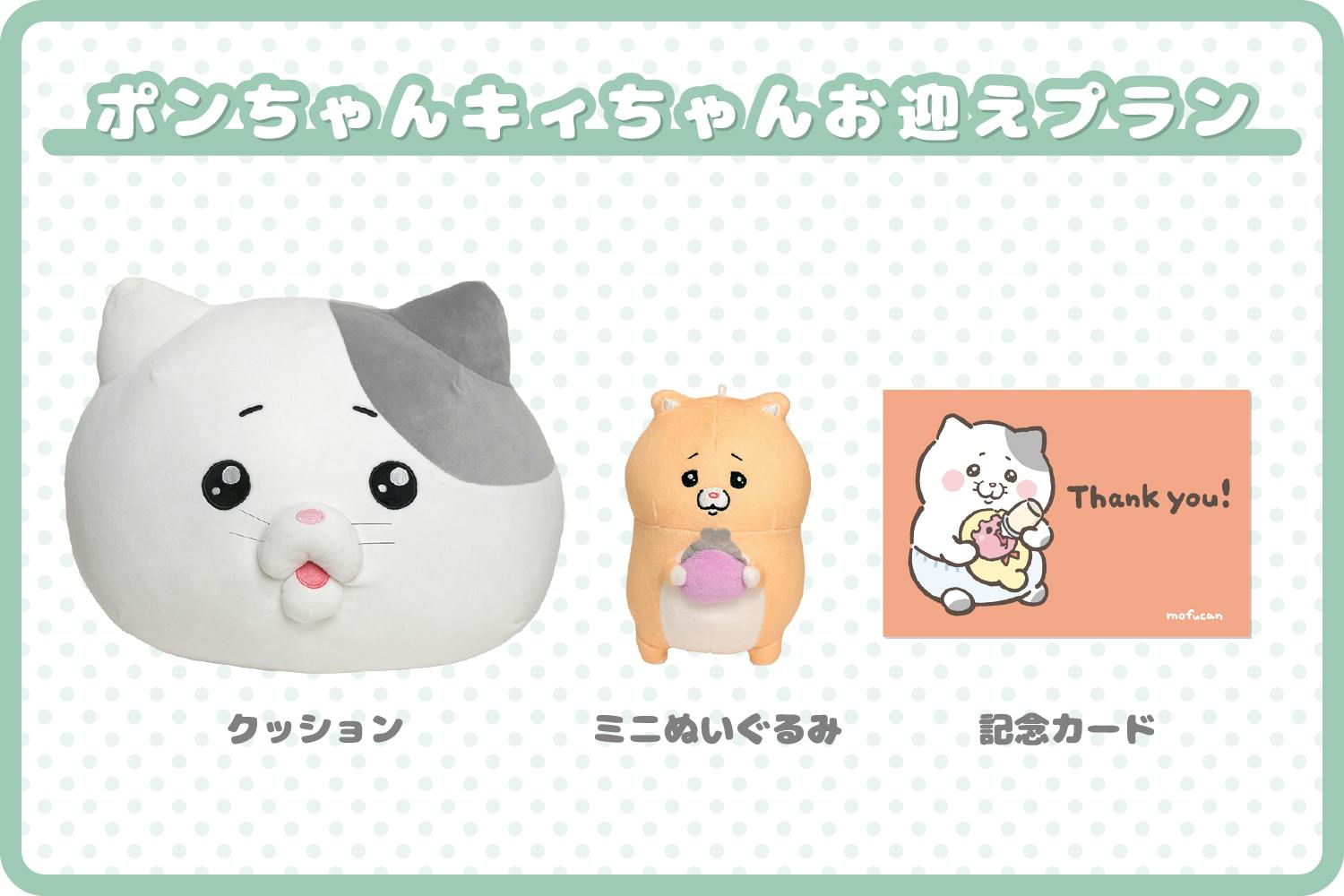 やさしい猫のポンちゃんクッション＆キィちゃんミニぬいぐるみ