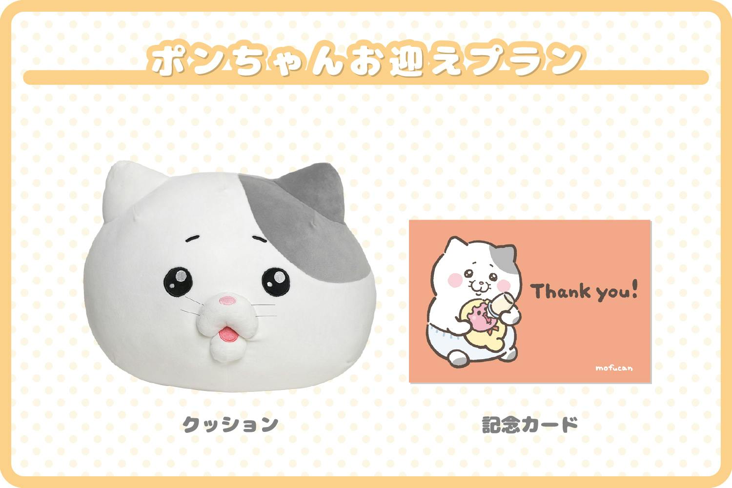 30名限定 直筆色紙付プラン 泣きむし猫のキィちゃん モフ缶 18131-5791-