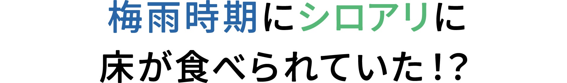 梅雨時期にシロアリに床が食べられていた！？