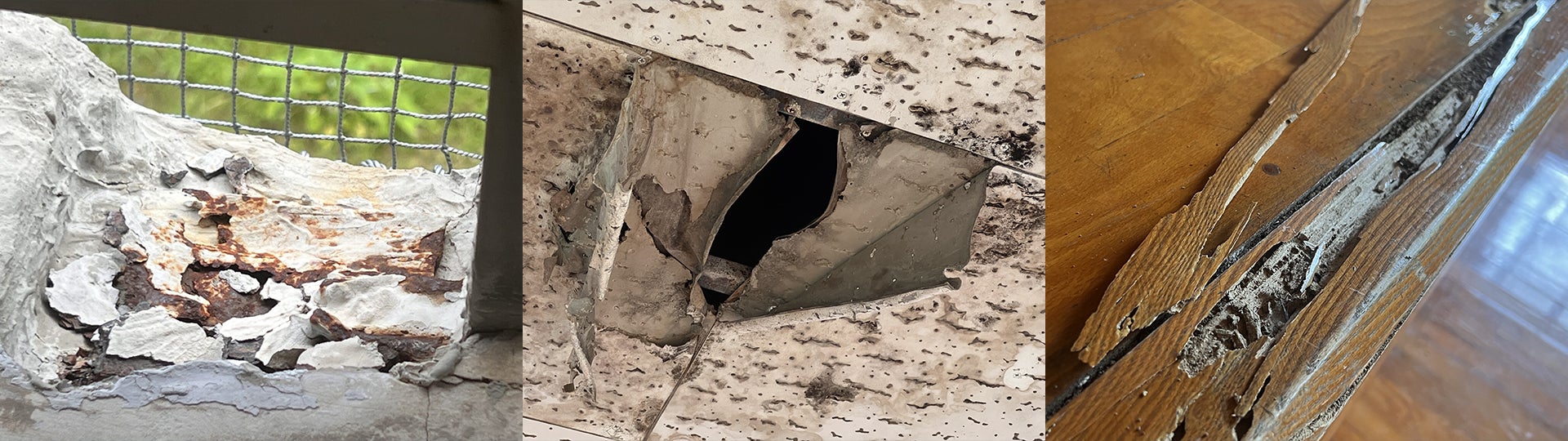 シロアリ被害の写真