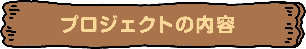 プロジェクトの内容