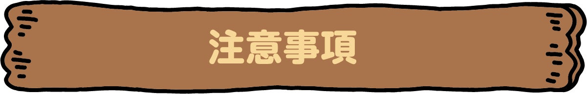 注意事項