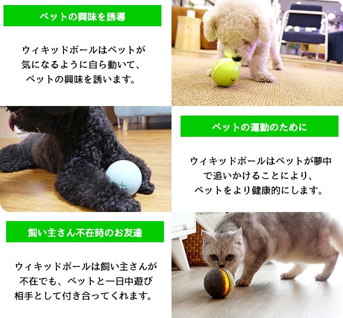 飼い主がいなくても自動でペットの遊び相手になるペットトイ Wicked Ball Campfire キャンプファイヤー