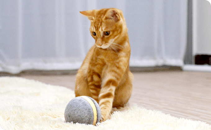 飼い主がいなくても自動でペットの遊び相手になるペットトイ Wicked Ball Campfire キャンプファイヤー 飼い主がいなくても自動でペットの遊び相手になるペットトイ Wicked Ball Campfire キャンプファイヤー