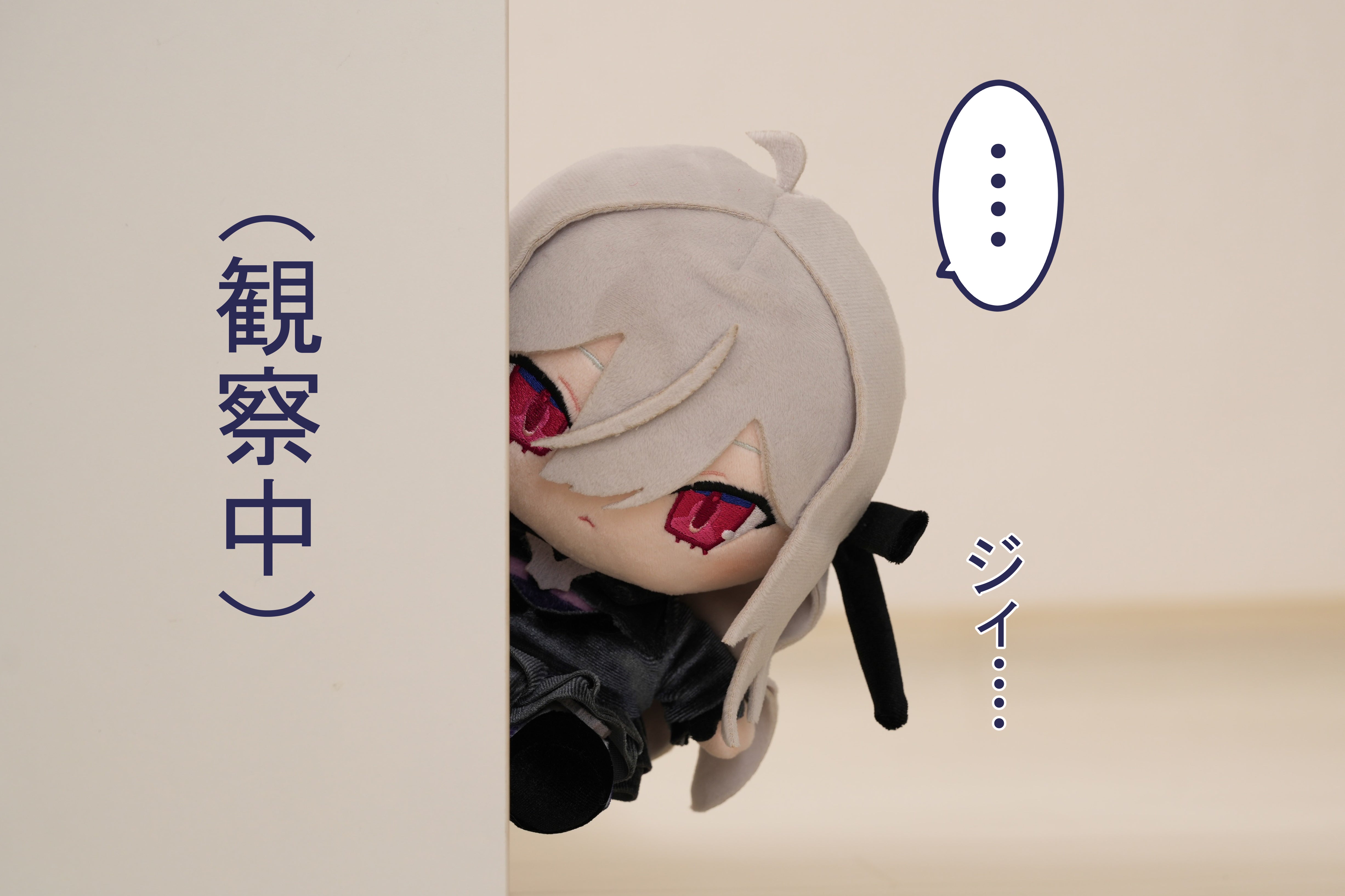 ✧ 魅惑のダークゴシック美少女✧ メアリリスぬいぐるみ化プロジェクト