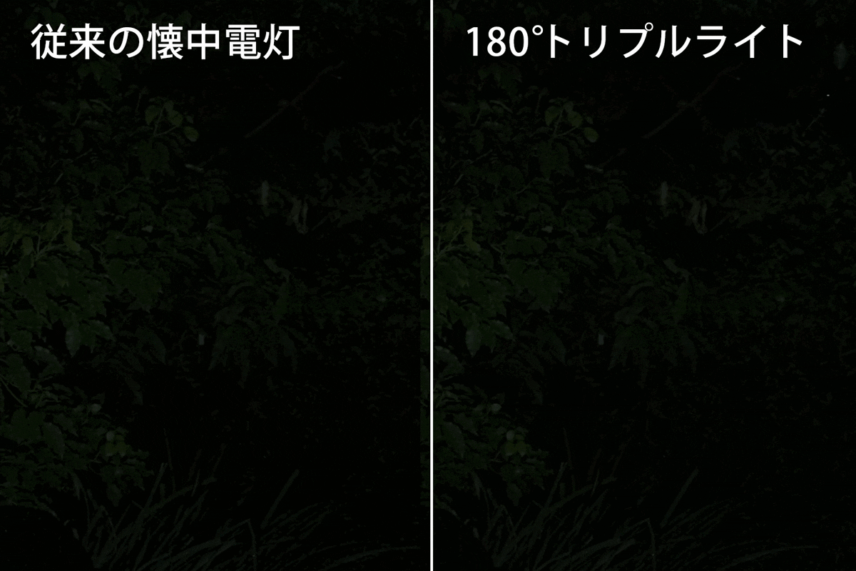 トリプルライト 販売店