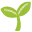 🌱