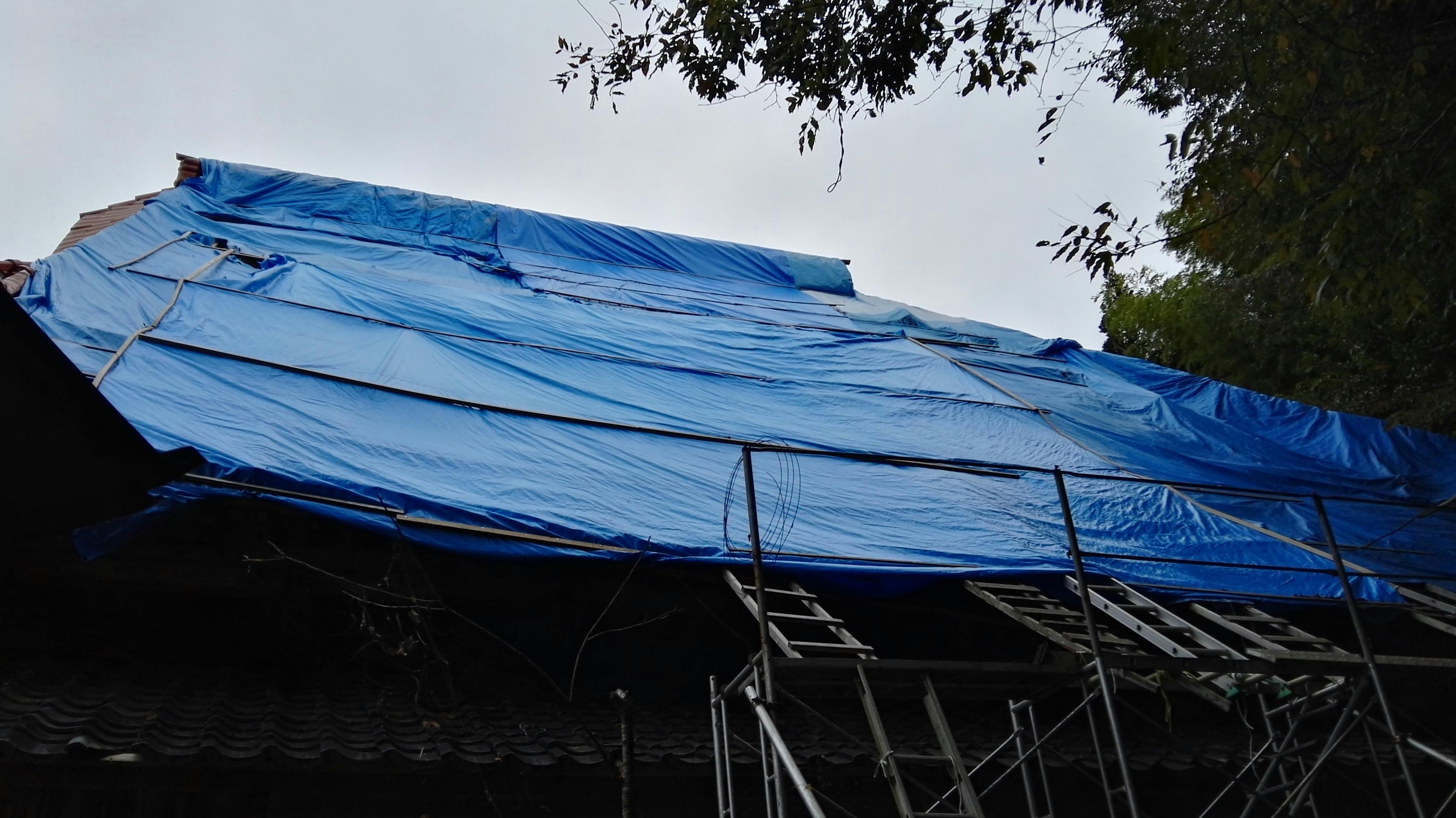 佐渡のウサギ寺 長谷寺 を助けて 台風で飛ばされた屋根を修理したい Campfire キャンプファイヤー
