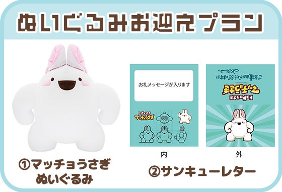 マッチョうさぎ」ぬいぐるみ化プロジェクト - CAMPFIRE (キャンプ
