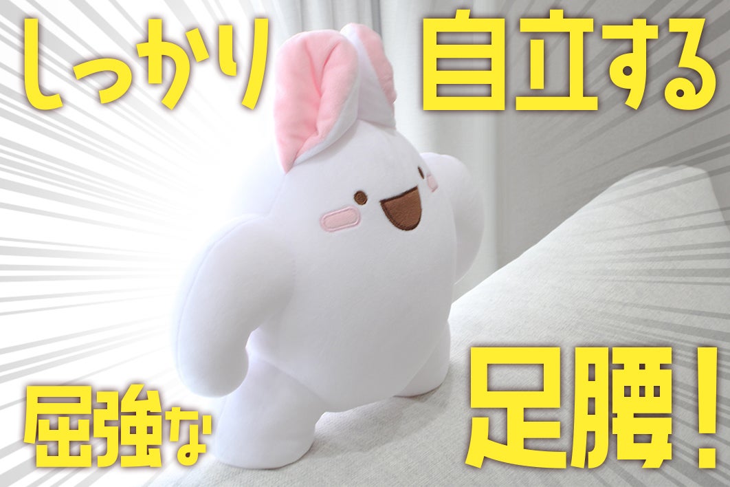 マッチョうさぎ」ぬいぐるみ化プロジェクト - CAMPFIRE (キャンプ